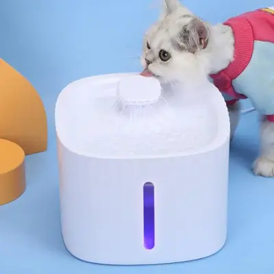Bebedouro Pet Inteligente Fonte de Água Automático Com Filtro