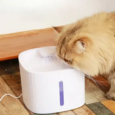 Bebedouro Pet Inteligente Fonte de Água Automático Com Filtro
