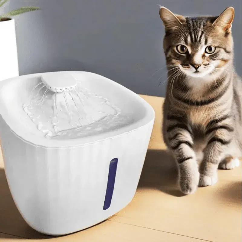 Bebedouro Pet Inteligente Fonte de Água Automático Com Filtro