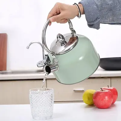 Chaleira Com Apito Moderna Aço Inox 3 Litros Verde