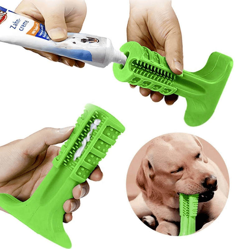 Escova de Dente Para Cachorro – Mordedor e Massageador – Médio