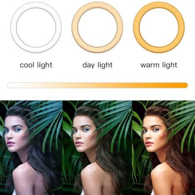 Led Ring Light 14″ Profissional com Tripé e Controle Remoto