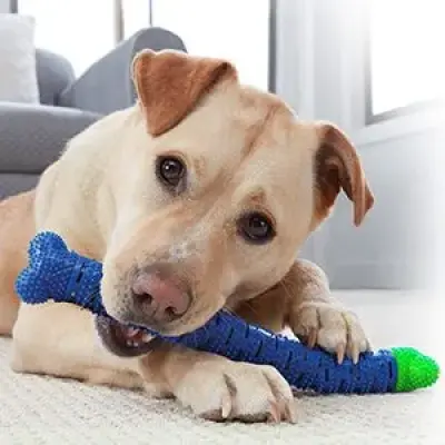Mordedor Osso Removedor de Tártaros Para Cães – Chewbrush
