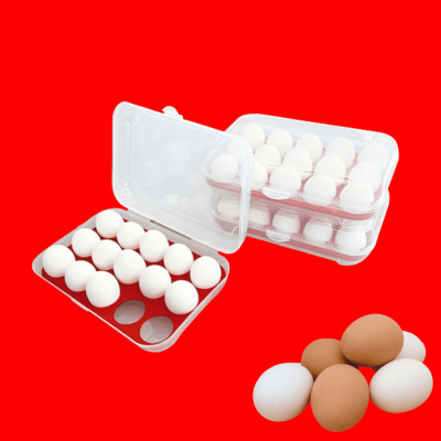 Organizador Porta Ovos com Tampa Bandeja 15 Ovos