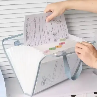 Pasta Organizadora Com Alça A4 Transparente