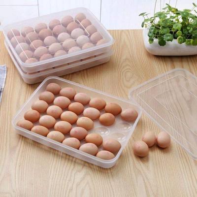 Porta Ovos Bandeja de Plástico Para 24 Ovos com Tampa